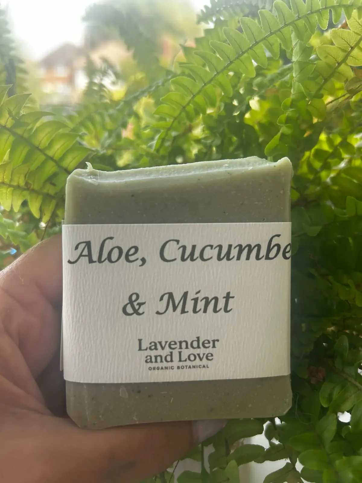 A bar of Aloe, Cucumber and Mint soap held in front of ferns