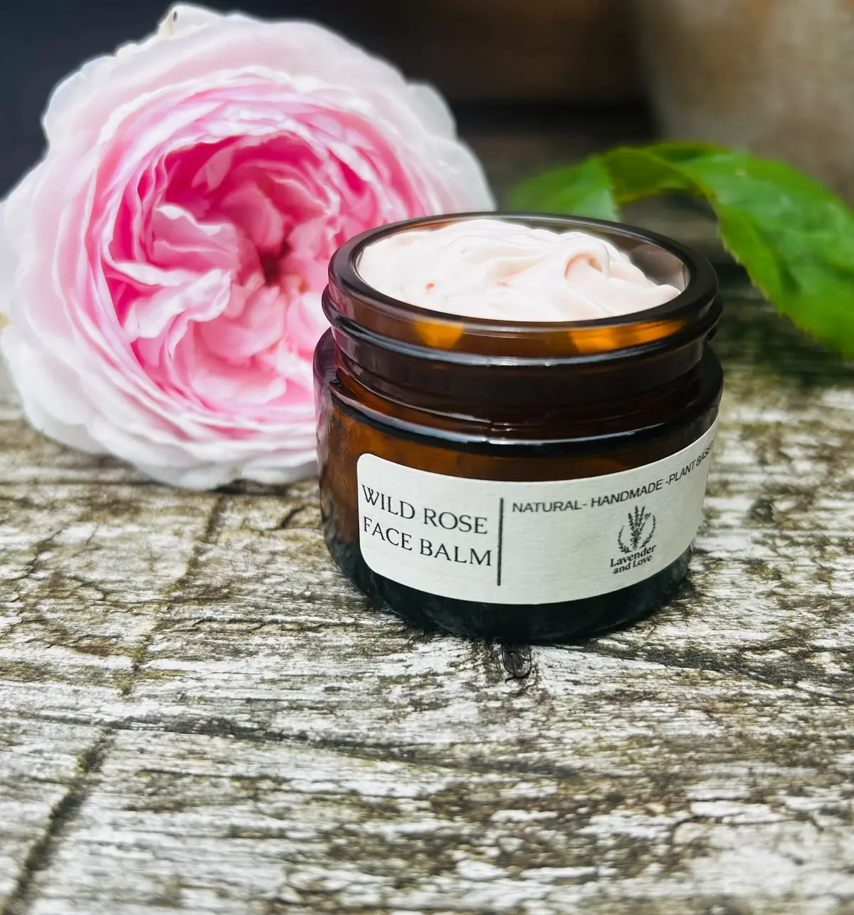 An open jar of Wild Rose Face Balm beside a pink garden rose on weathered wood